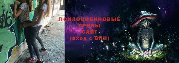 тгк Аркадак