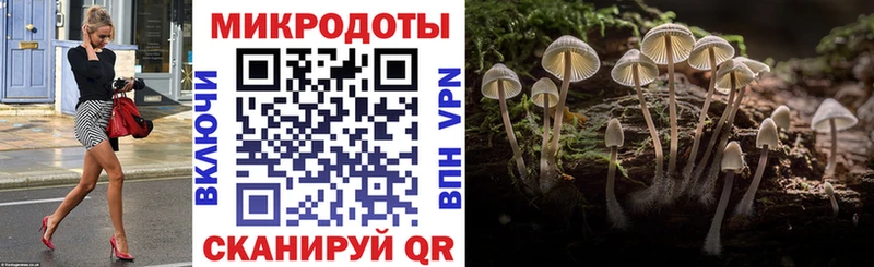 ОМГ ОМГ ТОР  Салават  Псилоцибиновые грибы MAGIC MUSHROOMS 